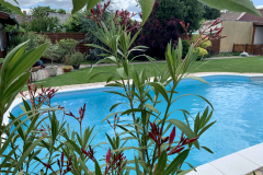 Virágos medencepart